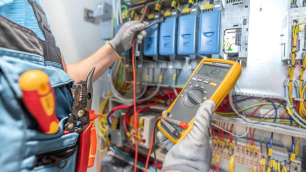 Best Electric Panel Repair  in Carle Place, NY