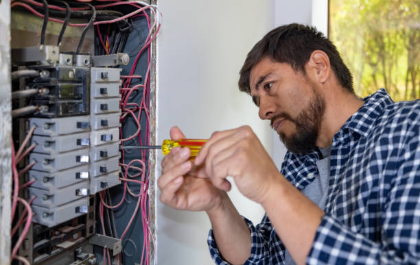 Best Electrical System Inspection  in Carle Place, NY